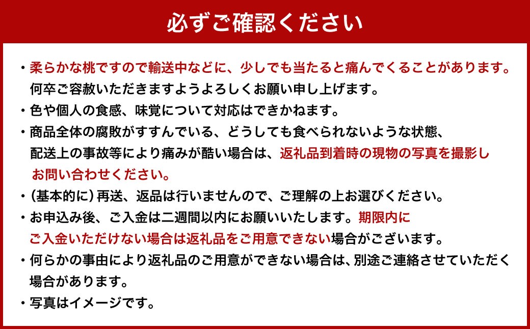 【 ご 家庭用 】 岡山 白桃 2種 2玉 500g  【 2026年7月上旬から9月上旬頃発送予定 】