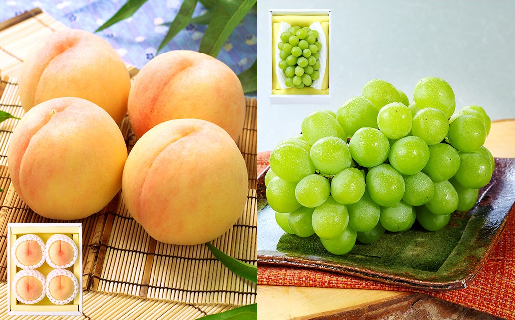 【4回定期便】フルーツ 2026年 先行予約 4回お届け便！