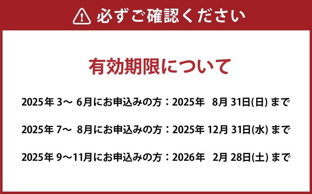 ナガシマ リゾート ナガシマ スパーランド パスポート券  大人2名 【有効期限有り】