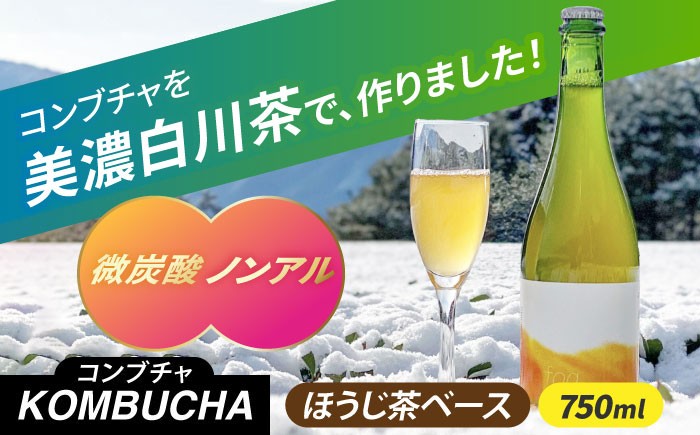 ほうじ茶コンブチャ fog-hojicha オリジナルコンブチャ お茶 発酵飲料 腸活 白川町