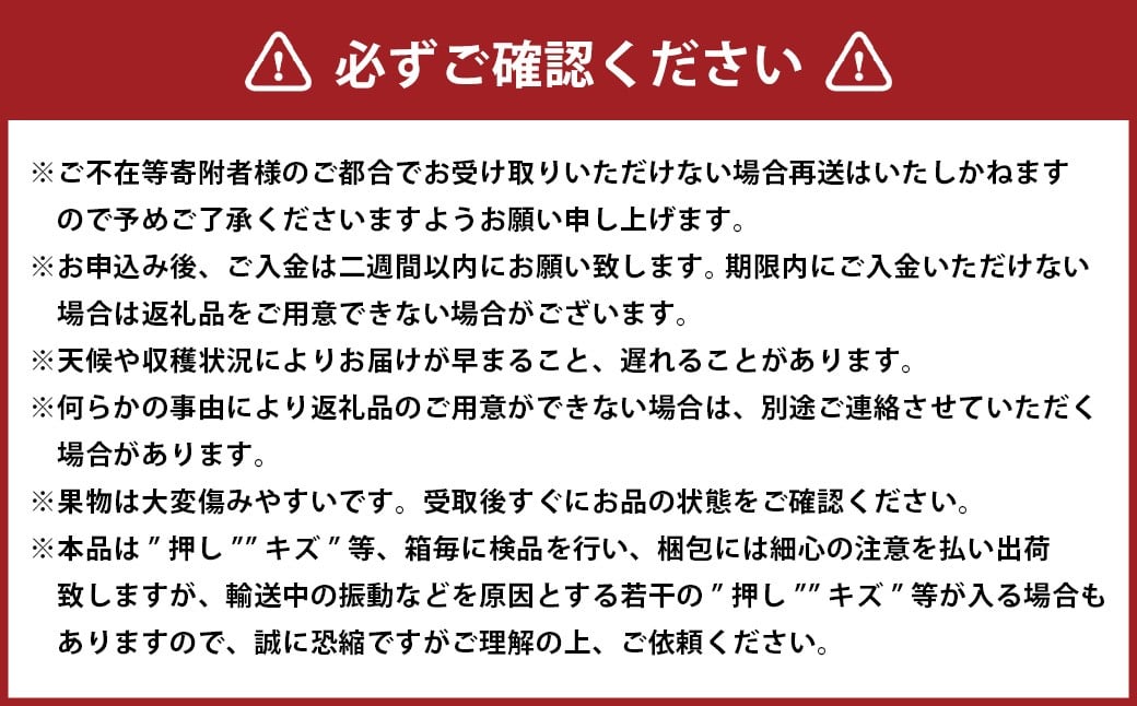 ぼっけえ大粒ニューピオーネ1房（800g以上）化粧箱入り