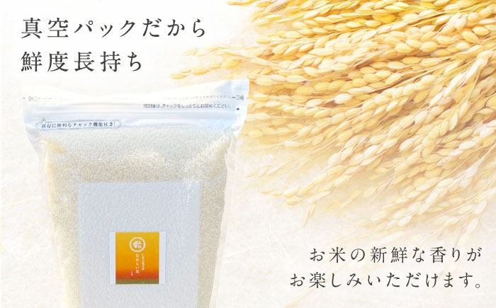 米 おこめ ごはん ご飯 白米 はくまい こめ ご飯 ごはん 美味しい 国産 お取り寄せ 産地直送 おすすめ 人気