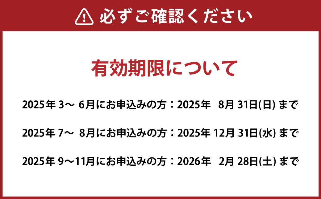 ナガシマ リゾート ナガシマ スパーランド パスポート券 大人1名 【有効期限有り】