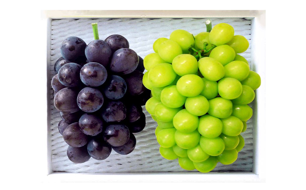 種無しぶどう詰合せ 2房（合計1.2kg以上）