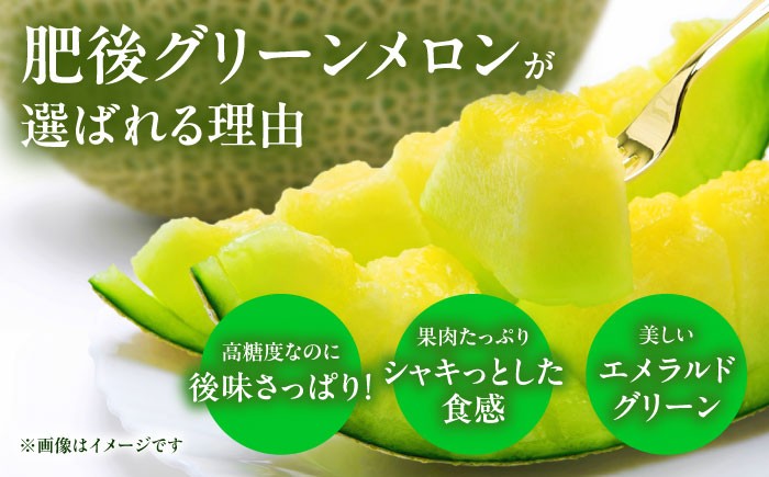 肥後グリーン メロン 小玉 すいか セット ブランド 高級 ジューシー 糖度 青肉 産地直送 季節物 新鮮 熊本 山鹿市