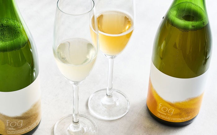 ほうじ茶コンブチャ fog-hojicha オリジナルコンブチャ お茶 発酵飲料 腸活 白川町