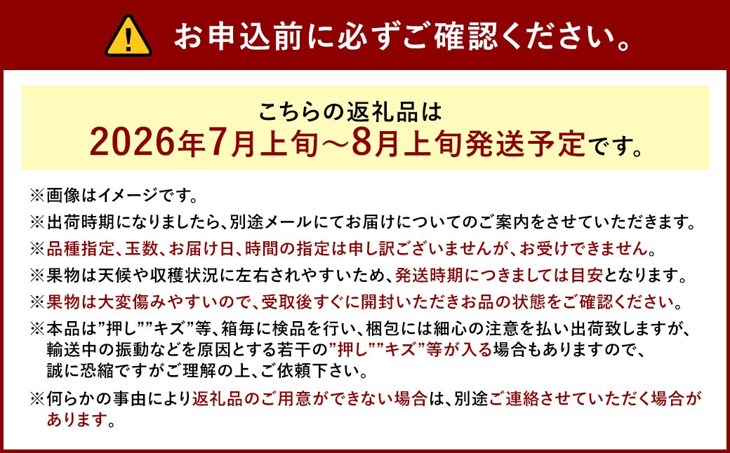 岡山 白桃 4～5玉（合計1.0kg以上）