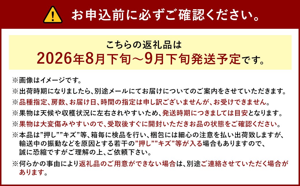 ぶどう 2026年 先行予約 ニュー ピオーネ 1房 600g以上