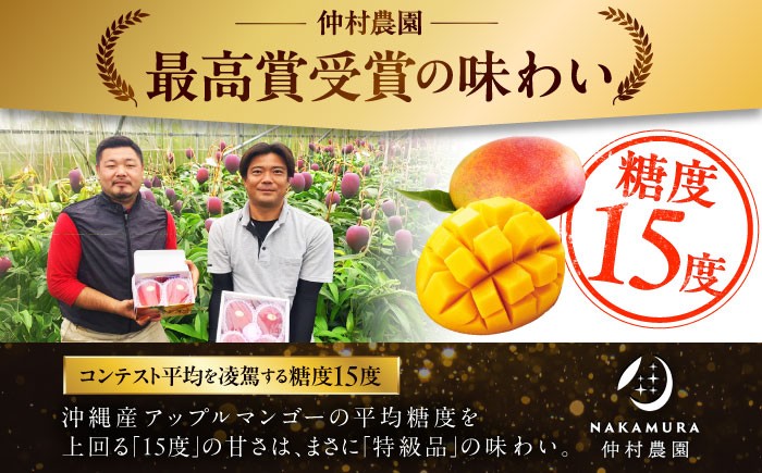 【 先行予約 2026年発送 】【訳あり】仲村農園の完熟アップルマンゴー 1kg マンゴー 2026 訳あり 沖縄 マンゴー 