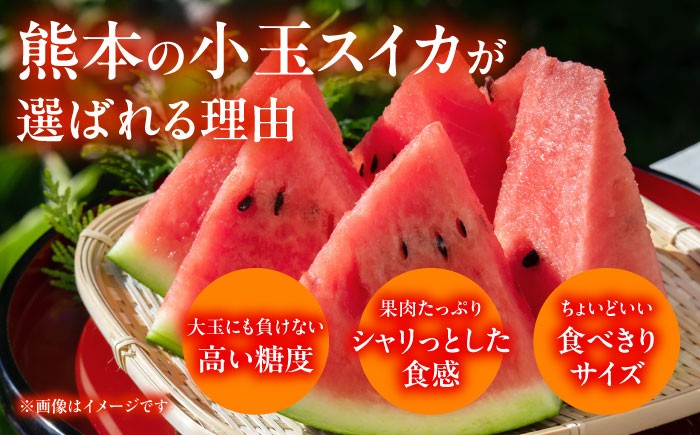 肥後グリーン メロン 小玉 すいか セット ブランド 高級 ジューシー 糖度 青肉 産地直送 季節物 新鮮 熊本 山鹿市