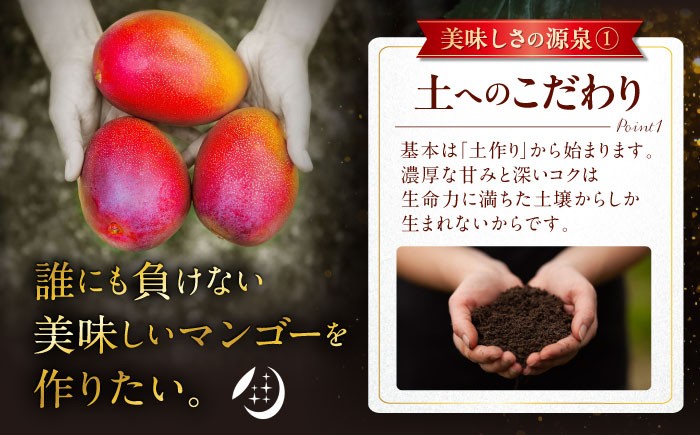 【 先行予約 2026年発送 】【訳あり】仲村農園の完熟アップルマンゴー 2kg マンゴー 2026 訳あり 沖縄 マンゴー 