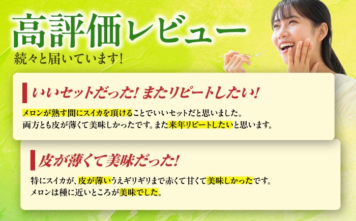 肥後グリーン メロン 小玉 すいか セット ブランド 高級 ジューシー 糖度 青肉 産地直送 季節物 新鮮 熊本 山鹿市