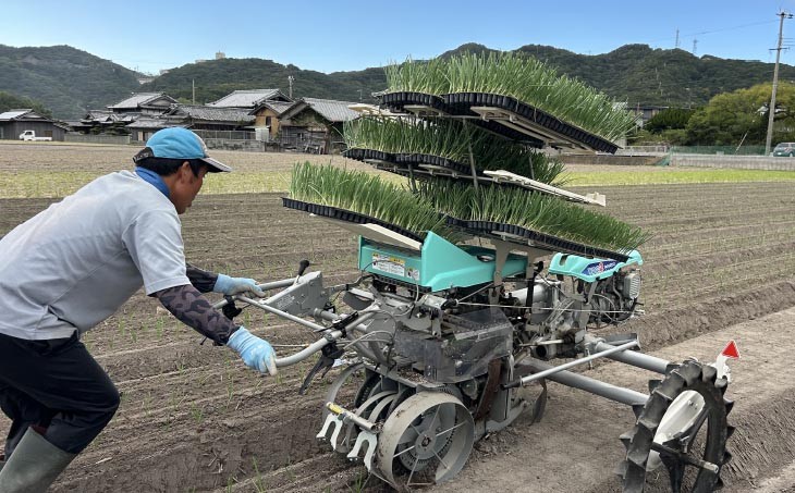 トロっと甘い！！淡路島産新玉ねぎ5㎏