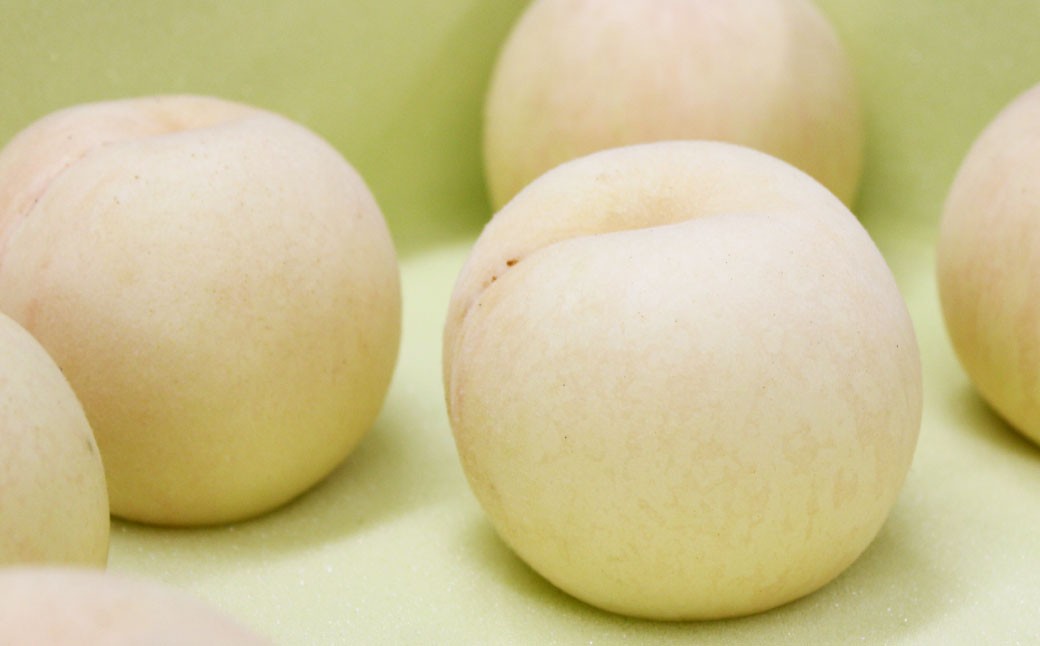 【 ご 家庭用 】 岡山 白桃 2種 2玉 500g  【 2026年7月上旬から9月上旬頃発送予定 】