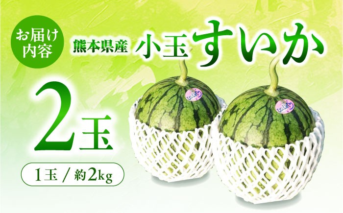 小玉 すいか 2玉 スイカ 西瓜 くだもの 人気 季節物 新鮮 産地直送 糖度 高品質 特産 種類 山鹿市 くまもと 熊本県産