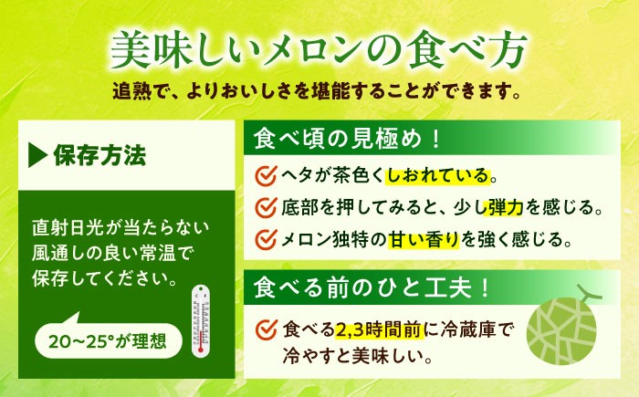 肥後グリーン メロン 小玉 すいか セット ブランド 高級 ジューシー 糖度 青肉 産地直送 季節物 新鮮 熊本 山鹿市