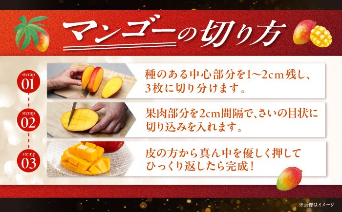 【先行予約 2026年発送 予約受付】【贈答用】仲村農園の完熟アップルマンゴー1kg マンゴー 沖縄 マンゴー 先行予約 