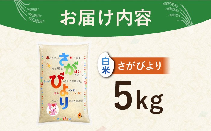 さがびより 白米 5kg  [HCM013] 米 お米 米 精米 はくまい こめ さがびより 米10kg 精米 ブランド米 特A