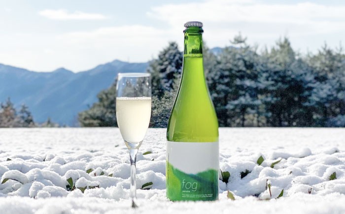 煎茶コンブチャ　fog-sencha オリジナルコンブチャ お茶 発酵飲料 腸活 白川町