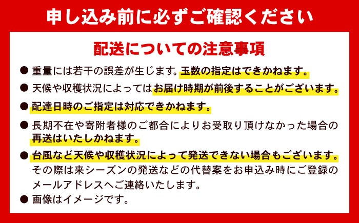 【 2026年発送 先行予約 】訳あり 完熟マンゴー 約2kg (4〜6玉入) マンゴー 2026 訳あり 沖縄 マンゴー 
