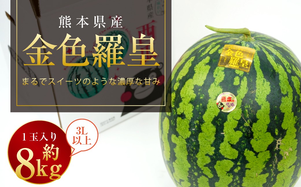 【2026年5月上旬発送開始】金色羅皇 1玉入り 3L以上 約8kg