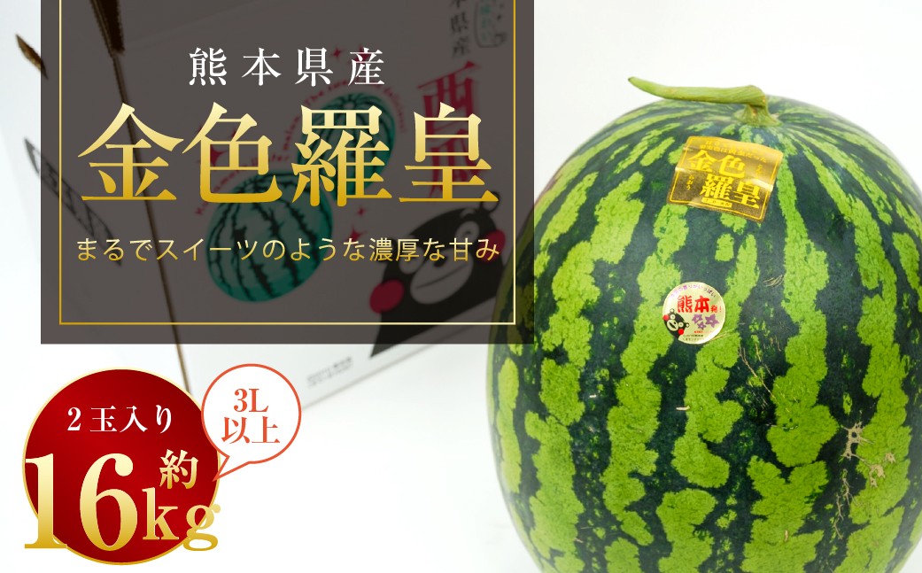 【2026年5月上旬発送開始】金色羅皇 2玉入り 3L以上 約16kg