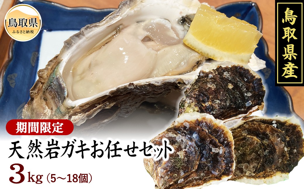 C24-105 【魚倉】鳥取県産 天然岩ガキお任せセット 3kg（5～18個）【期間限定】
