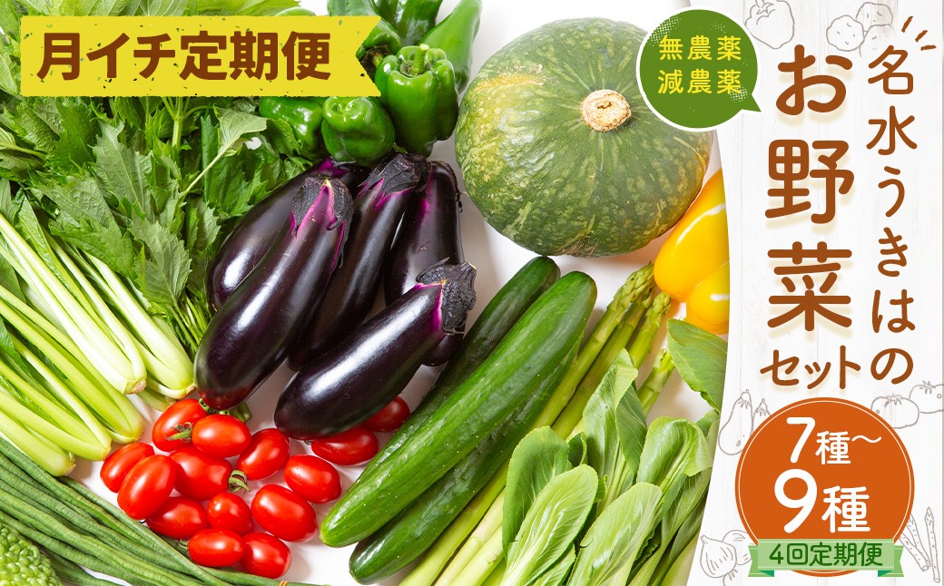 【月イチ定期便】UIC 名水うきはの無農薬減農薬お野菜セット (ひと月1箱×4か月=計4回)