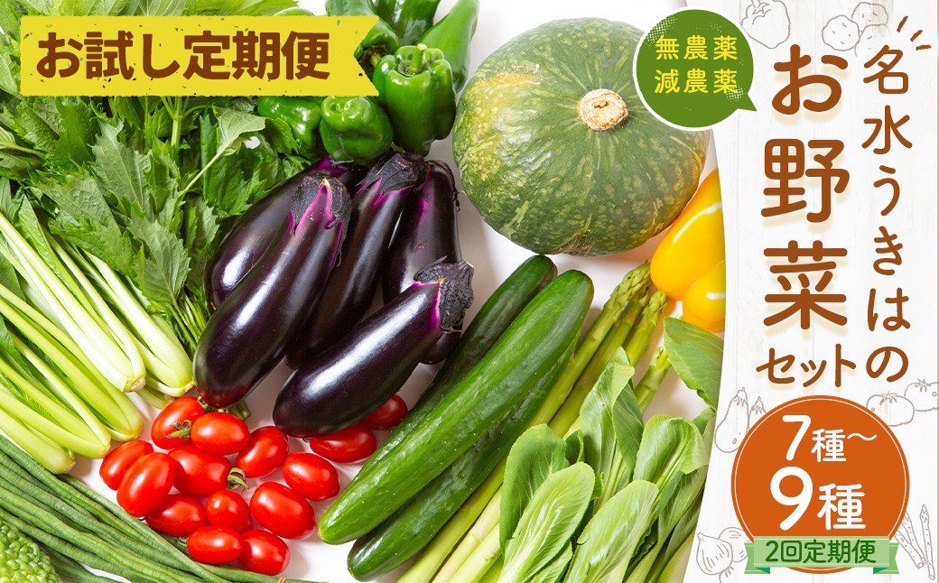 【お試し定期便】UIC 名水うきはの無農薬減農薬お野菜セット (ひと月1箱×2か月=計2回)