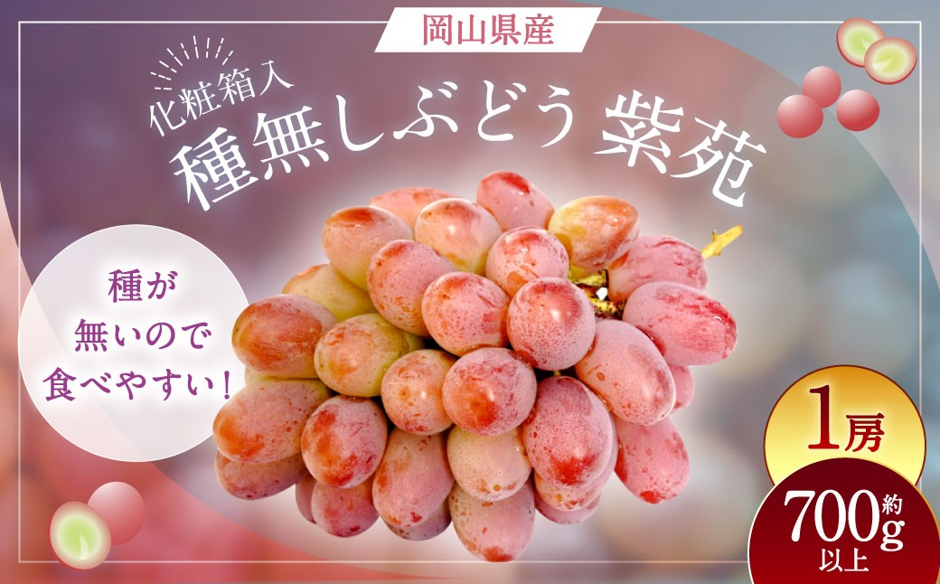 紫苑 1房（700g以上） 化粧箱入り