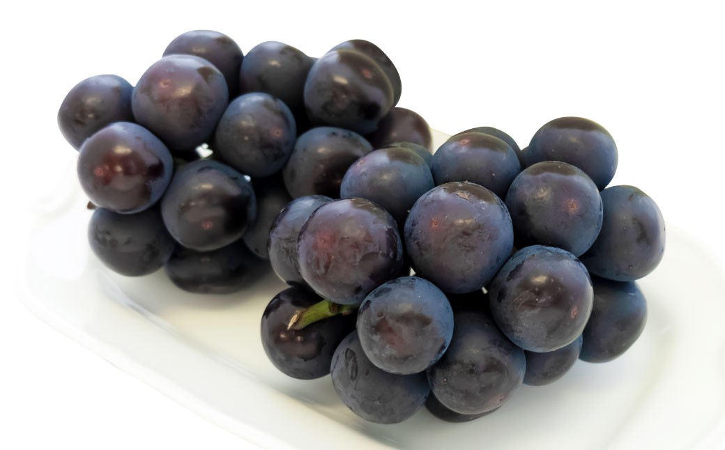 【 ご 家庭 用 】 オーロラブラック 2～3房 1.2kg 【 2026年9月上旬から10月上旬頃発送予定 】