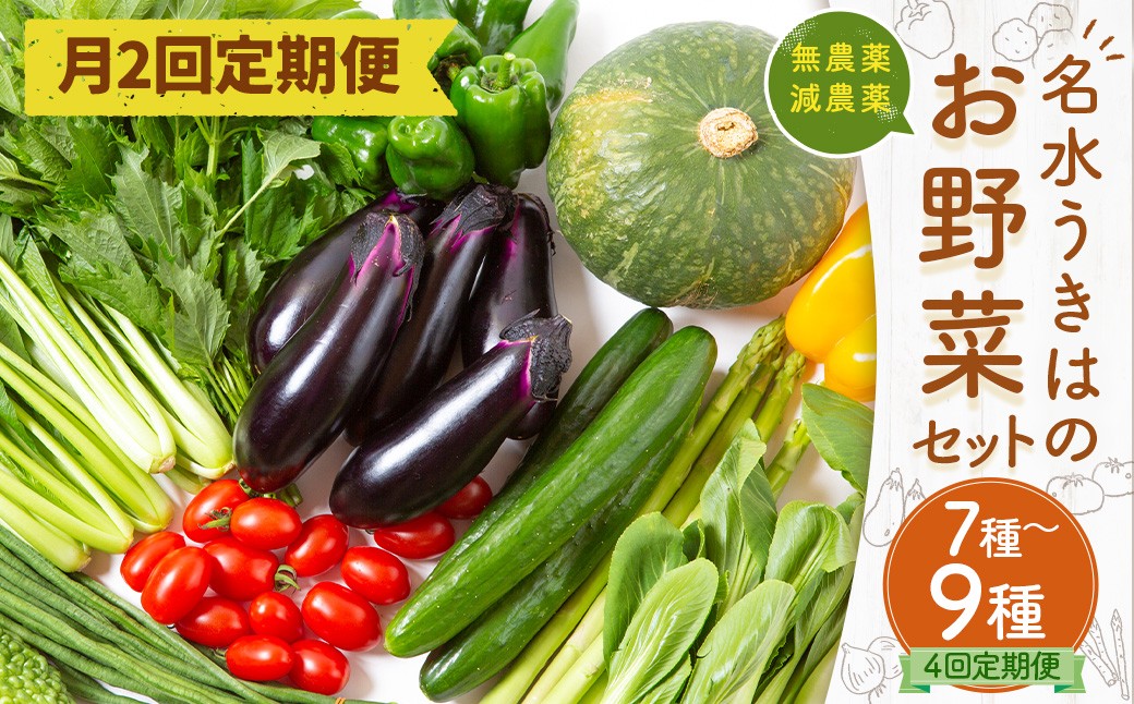 【月2回定期便】UIC 名水うきはの無農薬減農薬お野菜セット (ひと月2回×2か月=計4回)