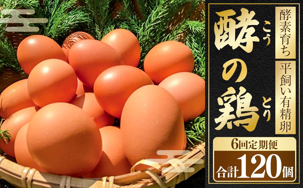 【6ヶ月定期便】iTo farm 酵の鶏 20個×6ヶ月お届け