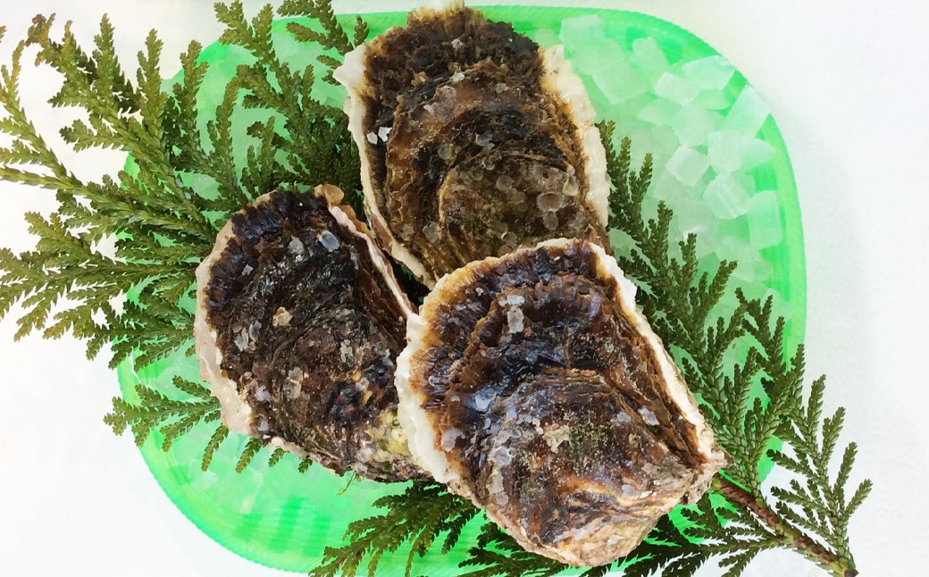 C24-105 【魚倉】鳥取県産 天然岩ガキお任せセット 3kg（5～18個）【期間限定】