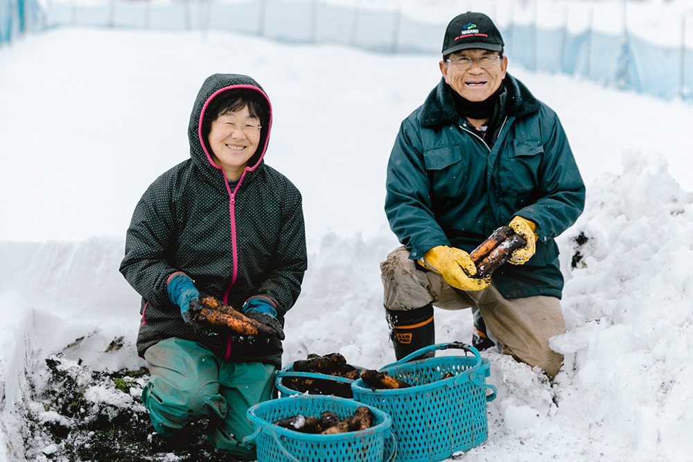 厳しい寒さに耐える、そんな野菜たちの強さが雪中野菜の凝縮された美味しさの秘密です。