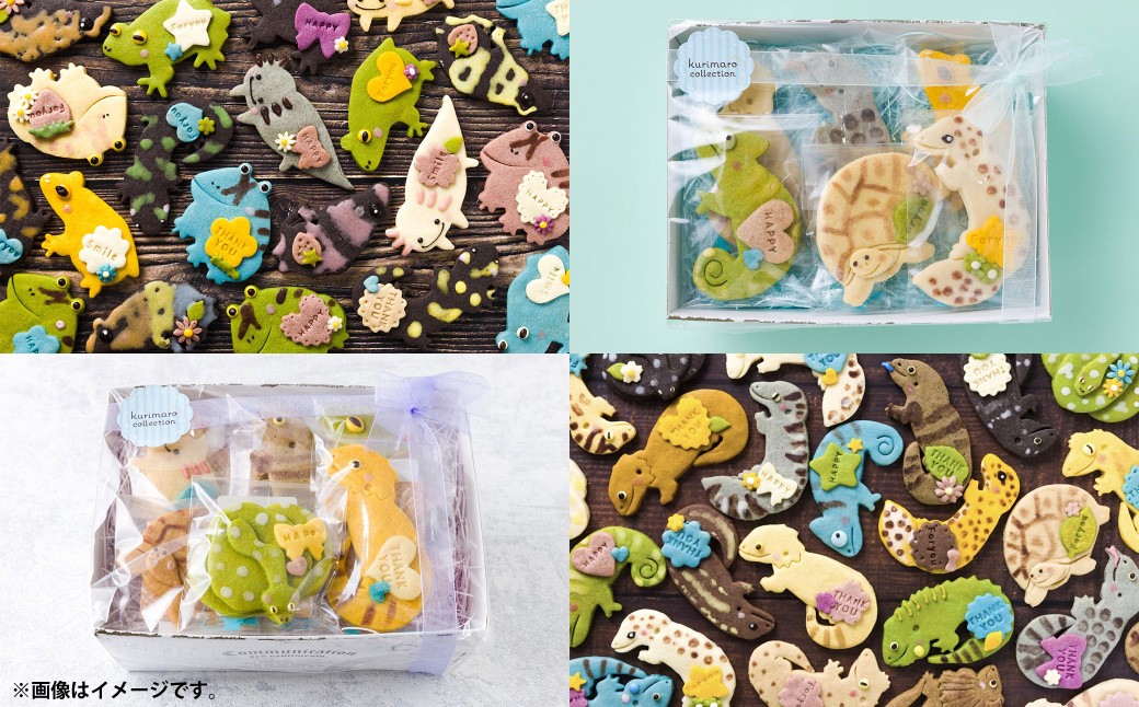 kurimaro collection 爬虫類 ・ 両生類 クッキー アート ギフト セット （ 8枚 入 ）