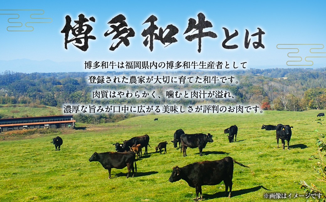 【博多和牛】サーロインステーキ 250g×3枚 (自家製 ジャポネソース付)