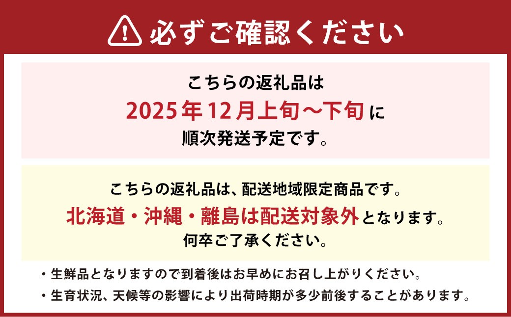 福岡県産 あまおう 500g （250g×2パック）