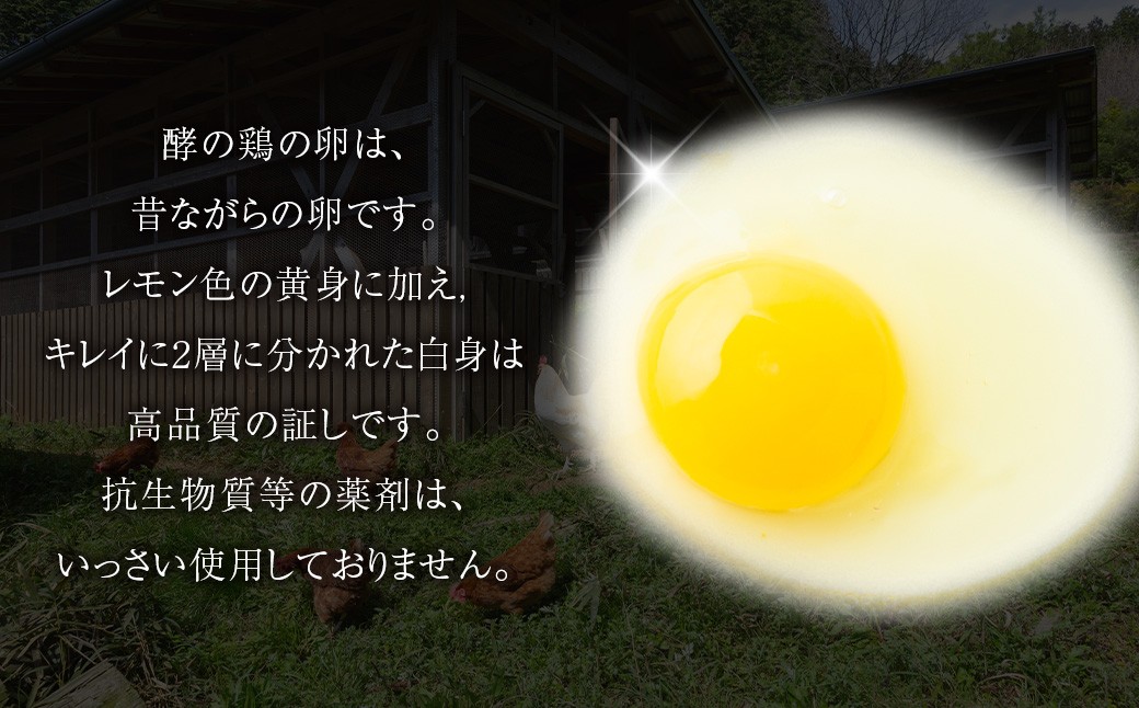 iTo farm 酵の鶏 40個