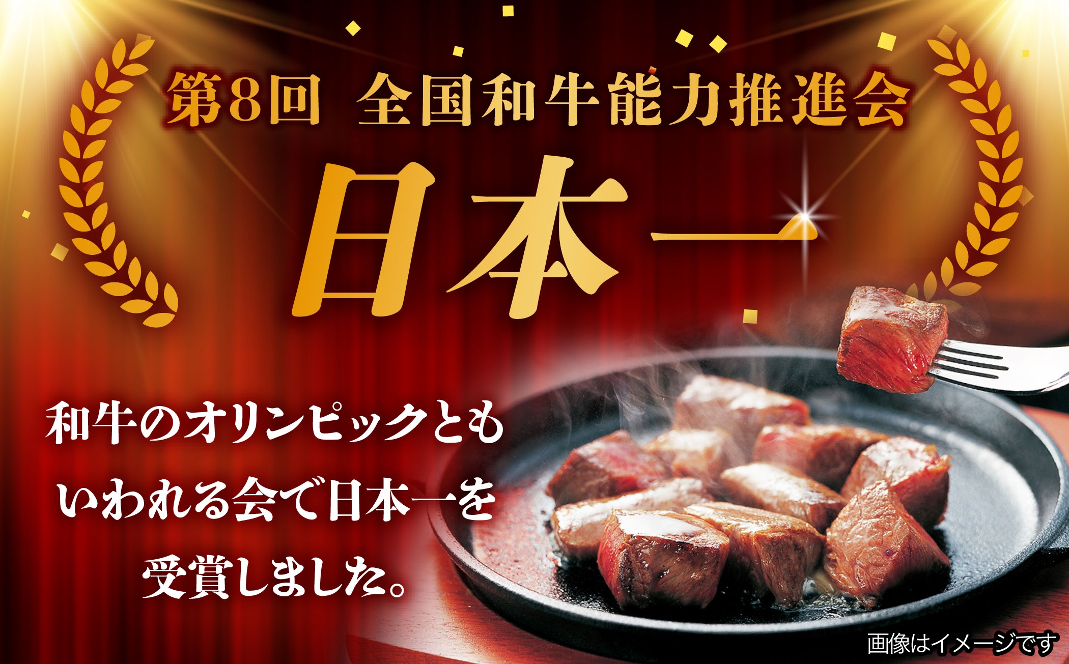 飛騨牛 サイコロステーキ 部位 おまかせ 1kg