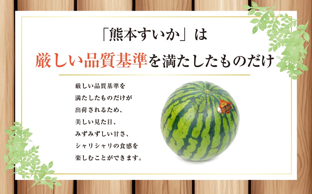 2026年5月上旬発送開始】大玉すいか 1玉入り L以上 約5kg