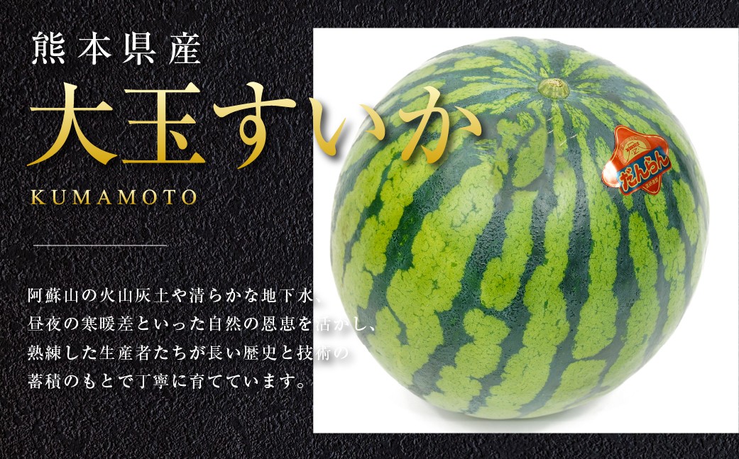 【2026年5月上旬発送開始】大玉すいか 1玉入り S以上 約2kg