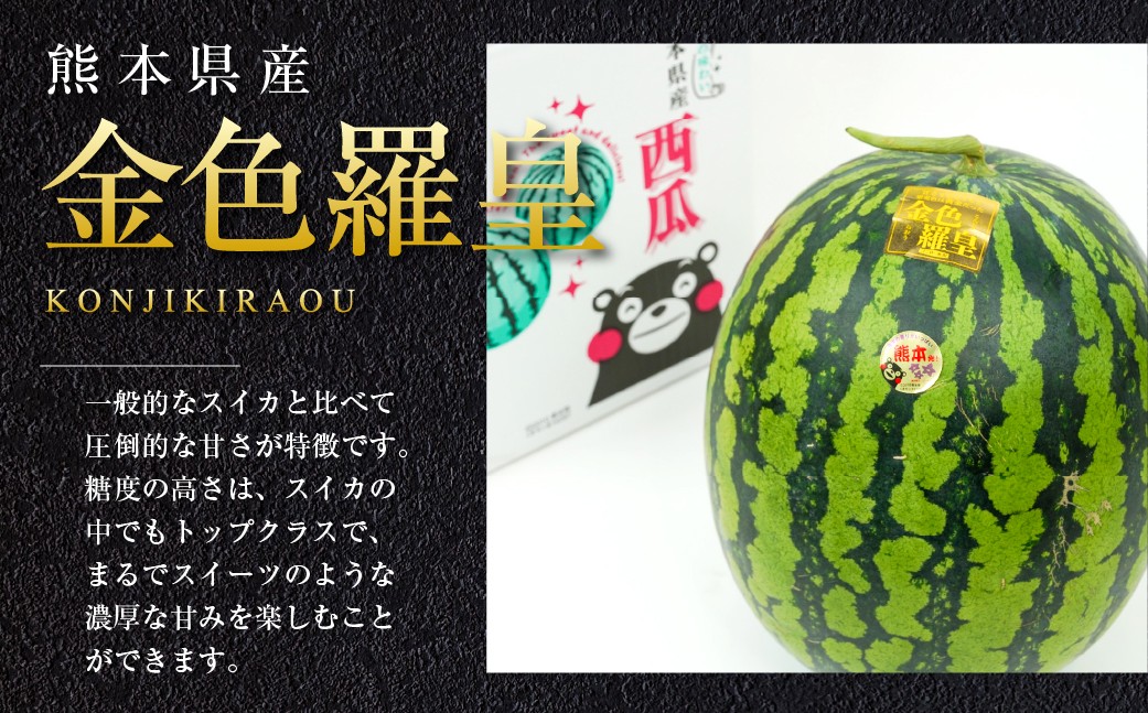 【2026年5月上旬発送開始】金色羅皇 2玉入り 3L以上 約16kg