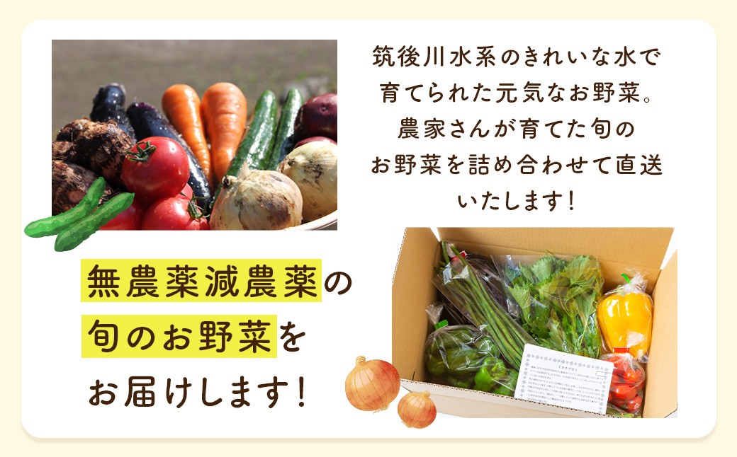 【月2回定期便】UIC 名水うきはの無農薬減農薬お野菜セット (ひと月2回×3か月=計6回)