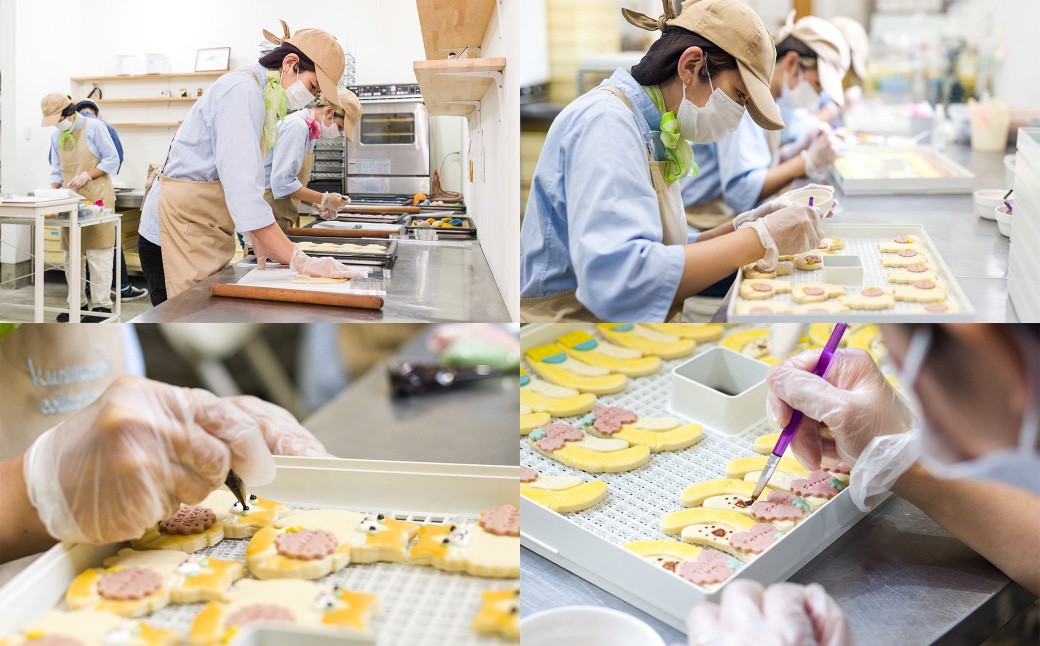 kurimaro collection 爬虫類 ・ 両生類 クッキー アート ギフト セット （ 15枚 入 ）