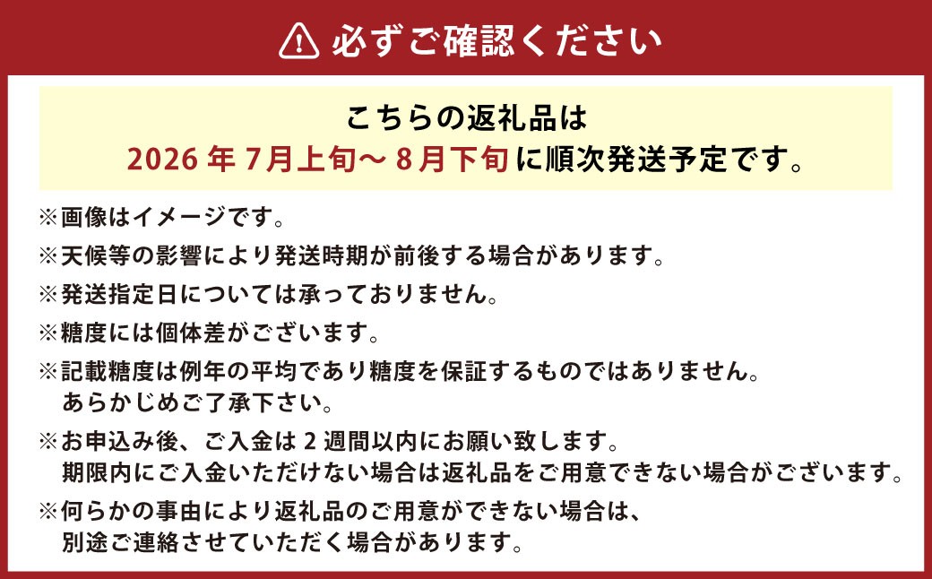 【卯野農場】産地直送！生でも美味しい 朝採れ スイートコーン 10本 3.5kg以上 とうもろこし コーン