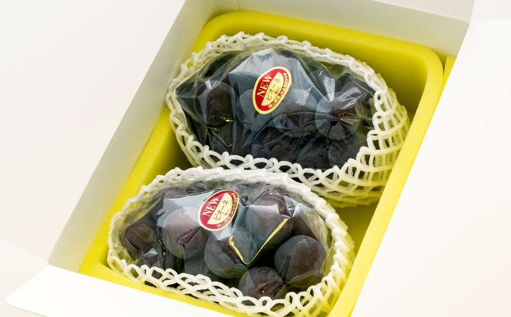 【ご 家庭 用】 ピオーネ 2～3房 1.2kg 【 2026年9月上旬から10月上旬頃発送予定 】