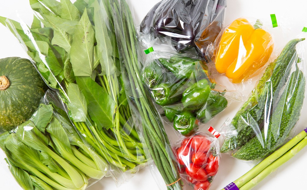 【季節定期便】UIC 名水うきはの無農薬減農薬お野菜セット (季節ごとに1箱×4回=年4回)