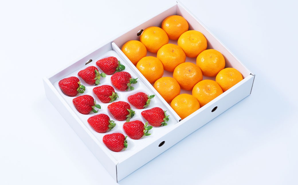 A331 【2025年12月中順次発送予定】福岡県産あまおう＆山川みかん詰合せ（あまおう12-15粒、山川みかん9-12玉）