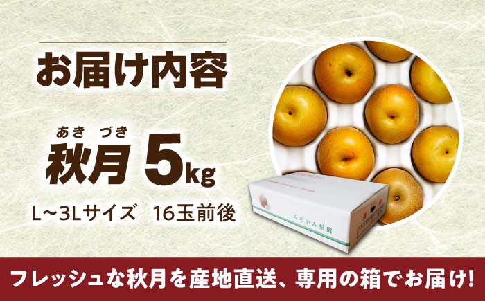 長崎県産 長与町 先行予約 大容量 フルーツ 果物 梨 なし 秋月 あきづき 大容量 お取り寄せ ナシ